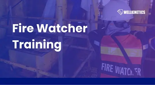 Safe Watcher HSE Training | Malaysia & Global | Wellkinetics | Environment, Health ...