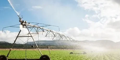 an Agriculture Farm