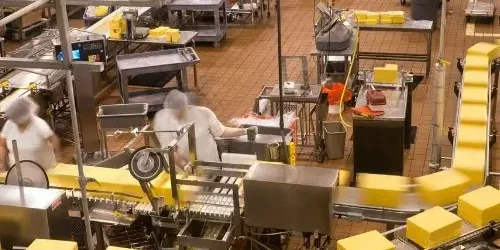 a Packaging Line